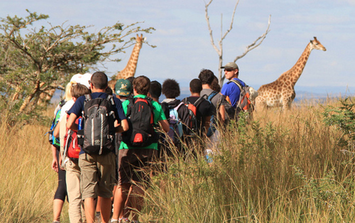 SafariKZNMark's tweet image. We are thrilled to be launching our school & group tours in partnership with African Insight Academy & Treverton The adventure starts here...safarikzn.com/school-and-gro… #grouptravel #schooltrip #kwazulunatal #southafrica #travel