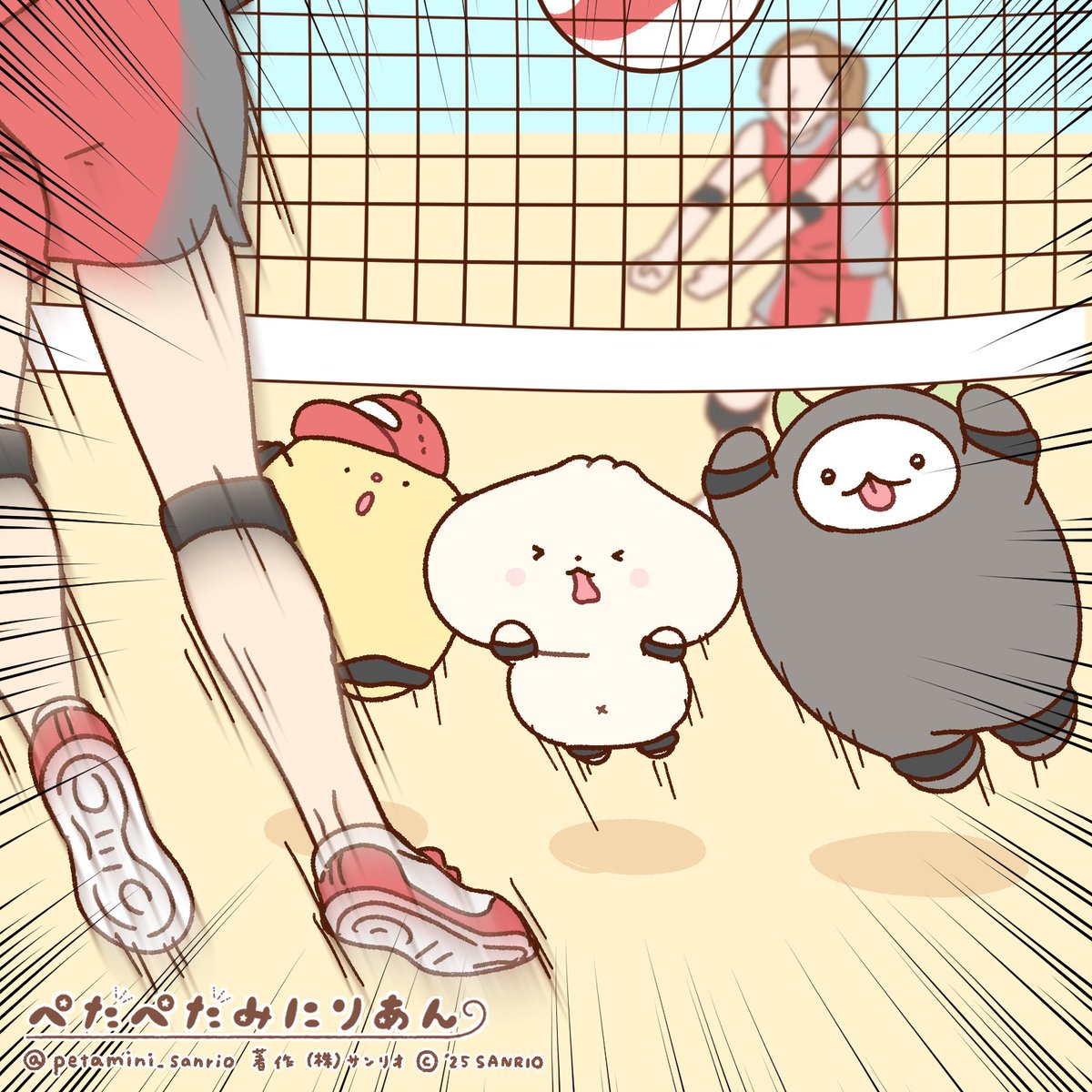 ジャンプしてブロック🏐
ranking.sanrio.co.jp/characters/pet…