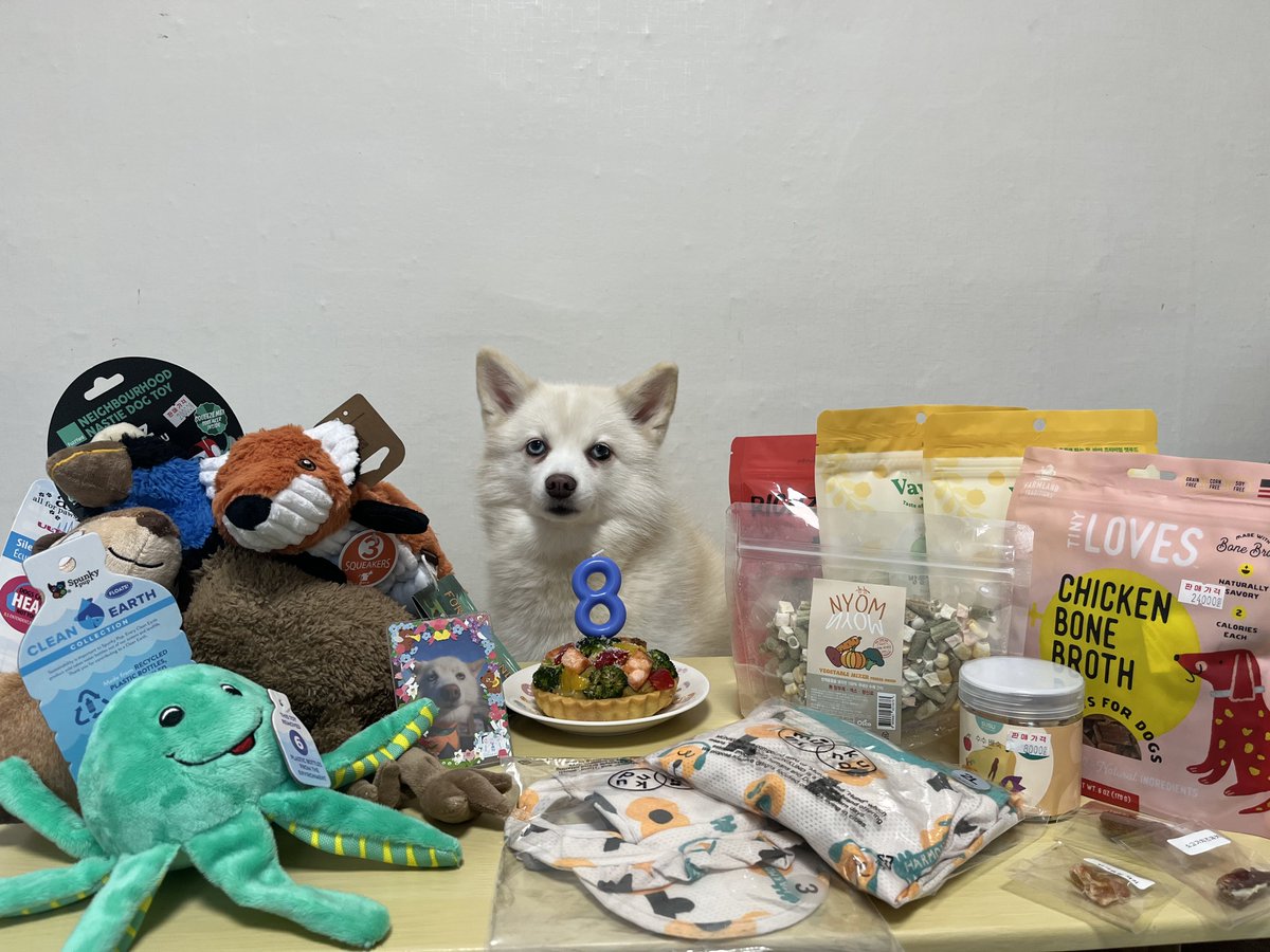 아사 생일 축하해8️⃣🥳🎂🐶🎉
무한으로 건강하고 행복하자🫶