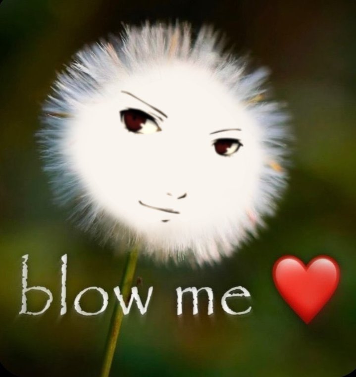 sora 🍑 (@rnm1ya) on Twitter photo 