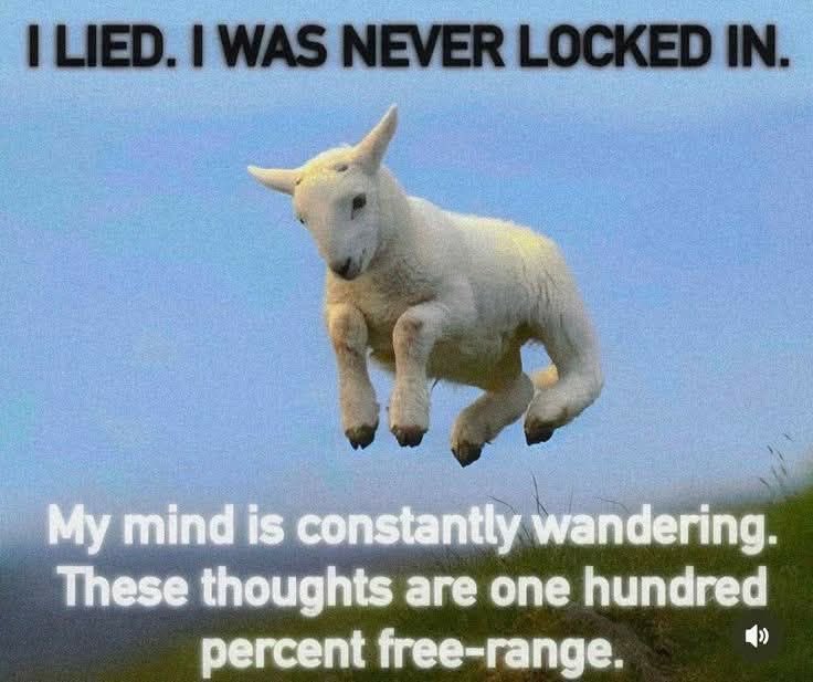 ADHD Memes (@adhdforreal) on Twitter photo 