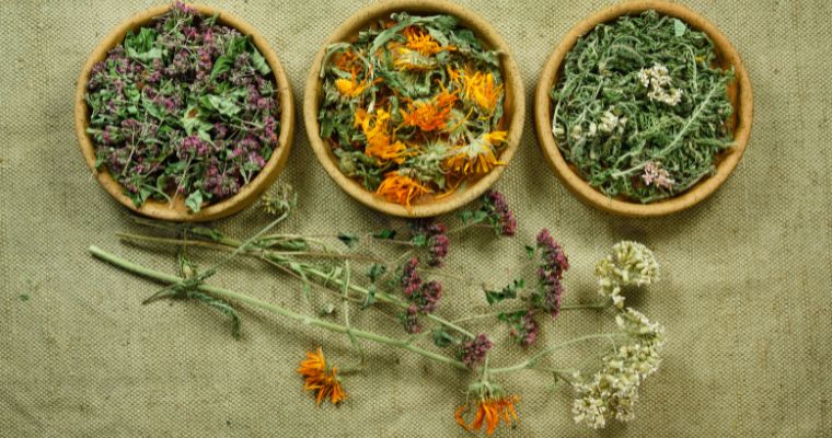 COFMadrid's tweet photo. En la #farmacia, todas las plantas medicinales que dispensamos llevan control de principios activos. En una #plantamedicinal tenemos distintos componentes en la raíz, tallo, hojas o las flores, y usar la parte adecuada garantiza su actividad. https://t.co/996fvkhwLk
#BlogCOFM https://t.co/RBQHqrlEdK