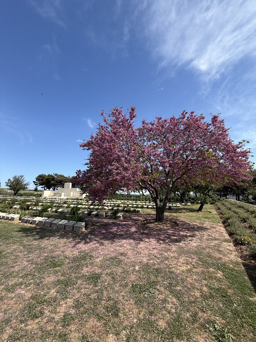 #Gallipoli ⁦<a href="/CWGC/">Commonwealth War Graves</a>⁩ Lancashire Landing Cemetery