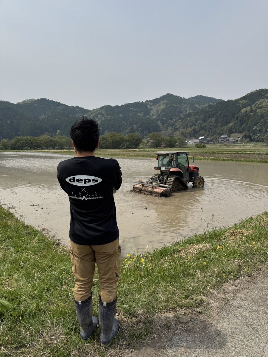 coco_sasayama's tweet image. 皆さんGWはどうお過ごしですか。
cocosasayamaでは代掻きを行いました。
土を平らになり苗を植えやすくなり、雑草も生えにくくなります。
5月の田植えの準備完了です。