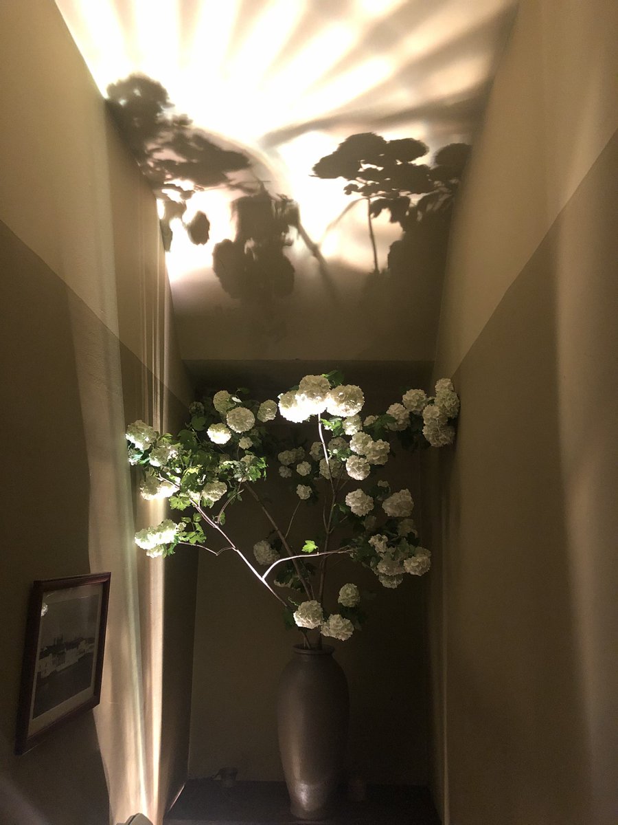 virgo_aruji's tweet photo. BAR Virgo
今週の生花 / Flower of The Week
ビバーナム•スノーボール
#生花 #化粧室 #バー #一ツ木通り #赤坂 #akasaka #bar #barvirgo https://t.co/WgjkgMTzwu