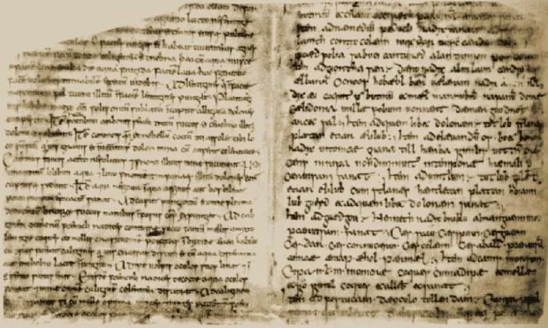 (1) On ne possède pas de texte écrit complet en langue bretonne au IXe siècle, car la langue des livres est pour l’essentiel le latin. Une quarantaine de ces manuscrits en langue ancienne contiennent cependant quelques centaines de gloses en #breton.
Manuscrit de Leyde👇