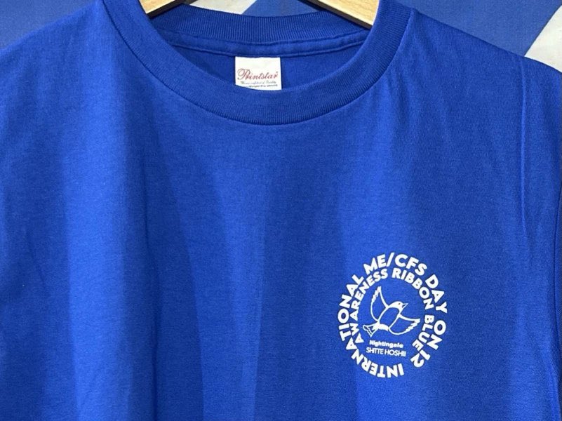 baseexchange.thebase.in/items/106073582

シルクスクリーンプリント
ナイチンゲール

MECFS 知って欲しい

筋痛性脳脊髄炎・慢性疲労症候群
啓発イベントに向けて
各サイズ少量ずつですが、
今年のTシャツ完成です🩵💙
XS-XXXLまで

（レターパックやレターパックプラスで発送）

着て来てくれると嬉しいです。