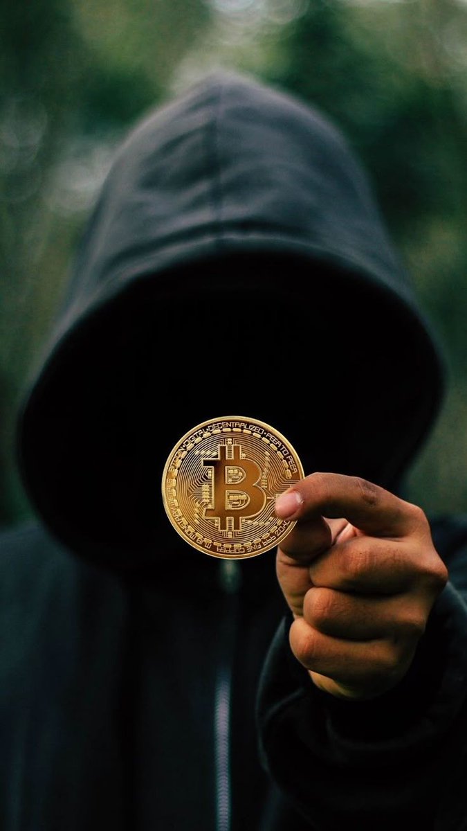 Novalinx.oi tweet media