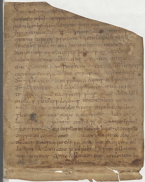 Le manuscrit de Leyde est un traité médicinal bilingue - écrit en latin, annoté en vieux-breton- qu’on peut dater du début du Xe s, voire de la fin du IXe s. Ces gloses montrent qu’à l’époque la langue bretonne peut être une langue savante, traitant de médecine, de philosophie..