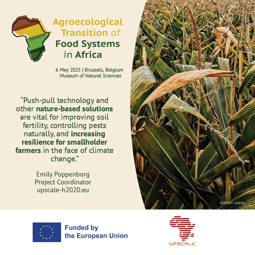 upscale_h2020's tweet image. Agroecological Transition of Food Systems in Africa
Emily Poppenborg, #UPSCALE Project Coordinator, will participate in the panel discussion during the session: "Agroecology transition and adoption: Transforming agri-food systems"
Register: conference.sustainsahel.net/registration