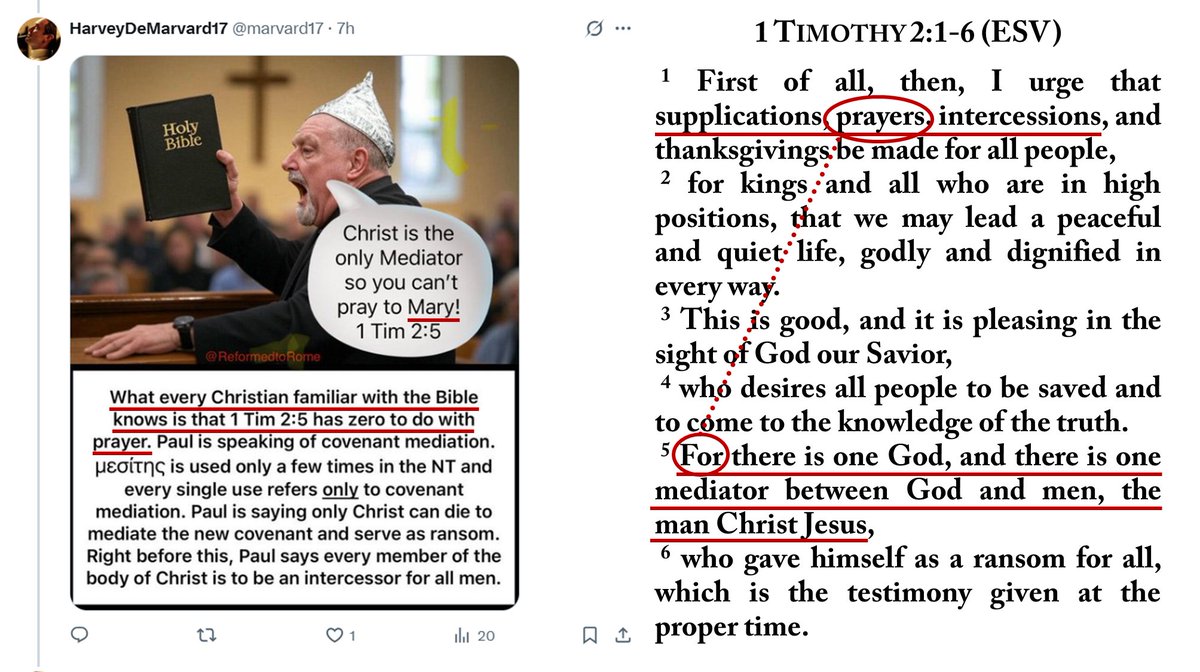 Remember when, right after Jesus told us to pray to “Our Father,” He followed up with, “And don’t forget to pray to my mom 10 times for every time you pray to your Father using a string of beads?”

Neither does He.

Yet they’re still gaslighting us about what the Bible teaches.