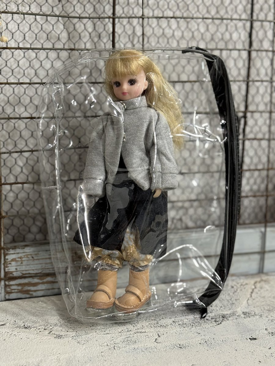 海外旅行にドール連れて写真撮影されてる方はおられるでしょうか…？

ブライスは重いのでリカちゃんをお連れしようか迷っています

#ドル旅