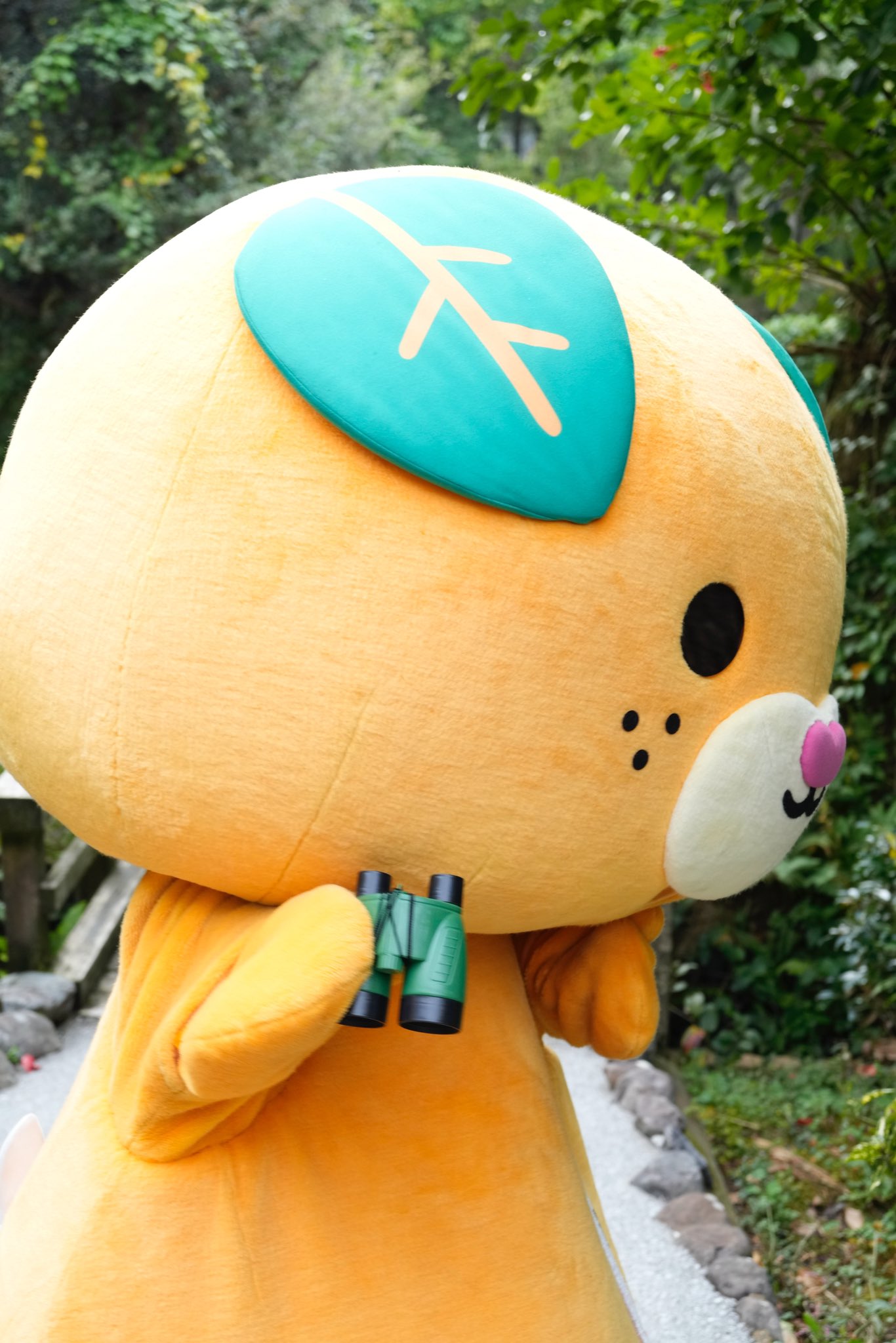みきゃん【公式】《愛媛県イメージアップキャラクター