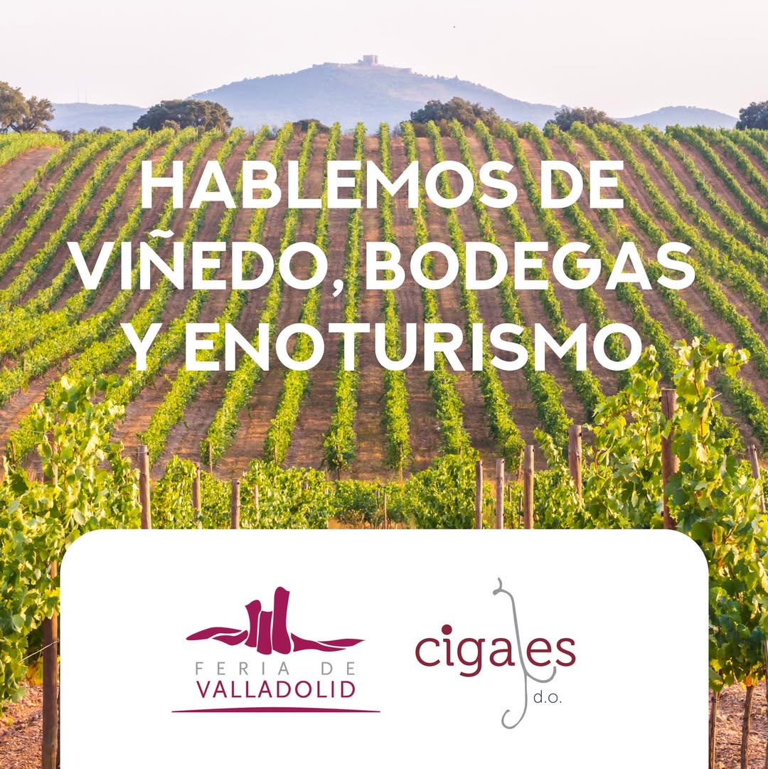 ¡Última oportunidad para inscribirte en la reunión de trabajo que Feria de Valladolid ha organizado en Cigales!

➡️ ¡Si formas parte del mundo vitivinícola, no dudes en inscribirte!
ow.ly/NCGp50VySpm

📅 Martes 29 de abril
🕦 11:30 h
📍 Consejo Regulador D.O. Cigales