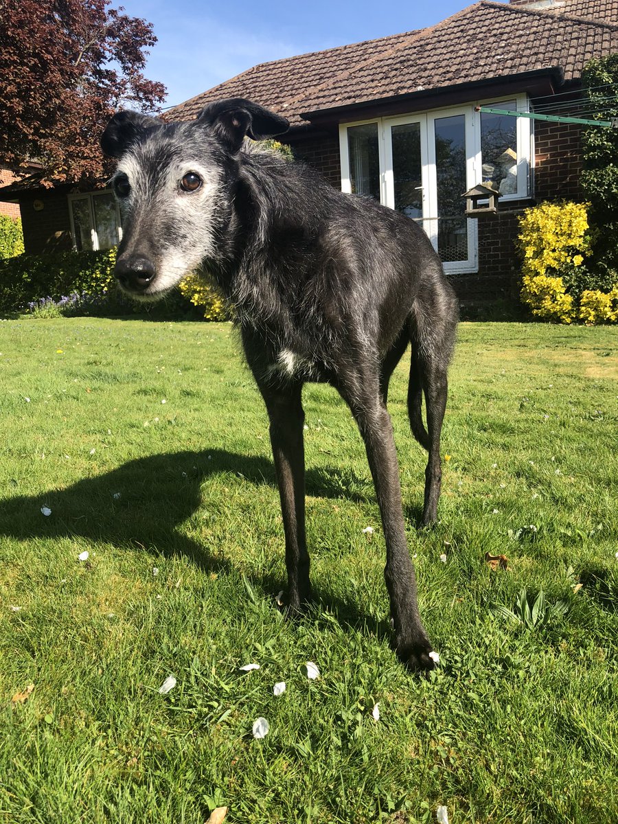 Pals! I have NEWS! My petticoats are fluttering with excitement as I announce to you that…my diary entries…of which there are alot, are going to be published in a proper book!!!