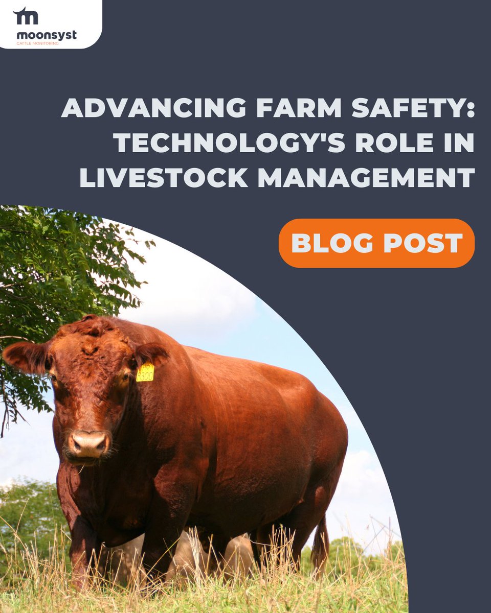 Moonsyst tweet media