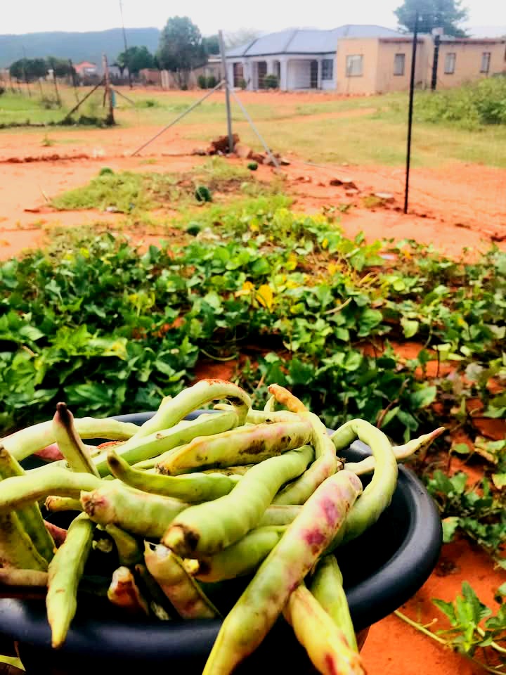 PhekgoGiven's tweet photo. Country side nuts https://t.co/9ZlqlW5co7