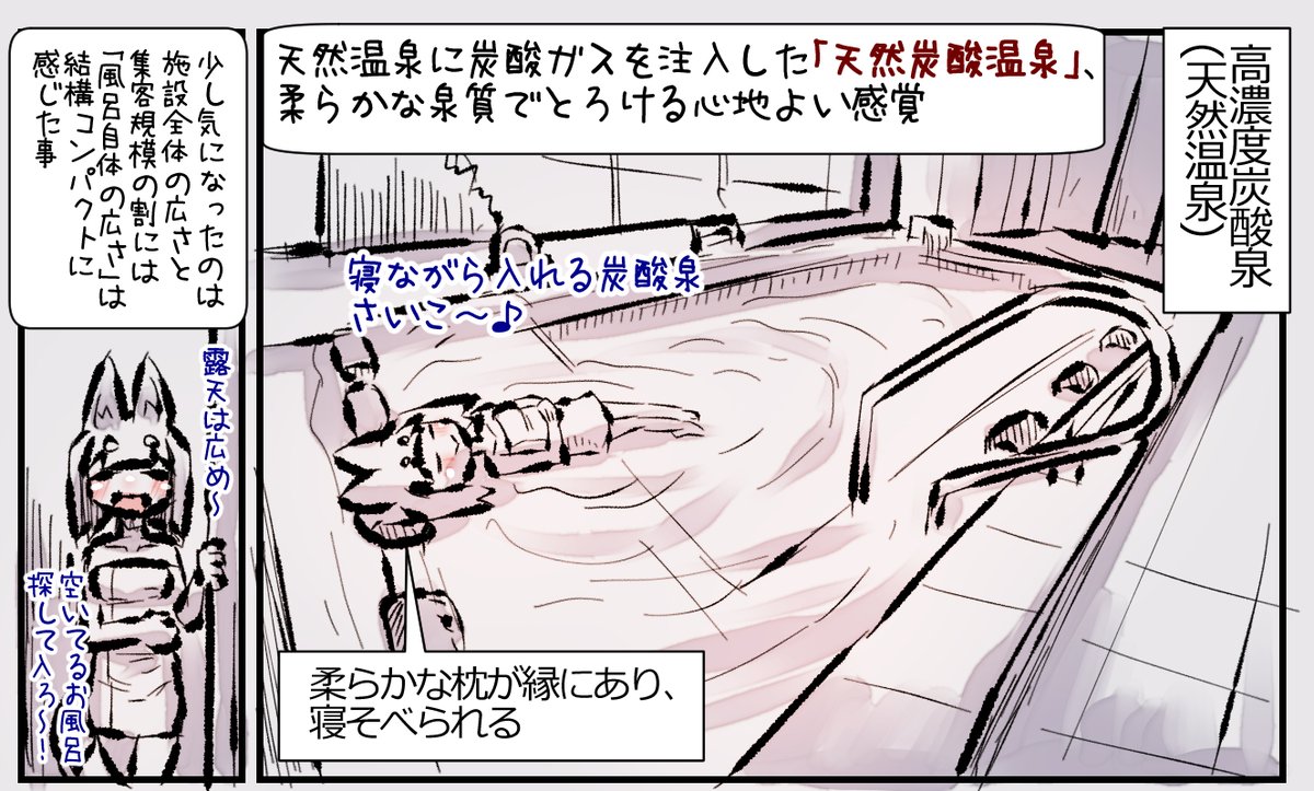 むしぎつね!スパジアムジャポン②
でかサウナと高頻度ロウリュ! 