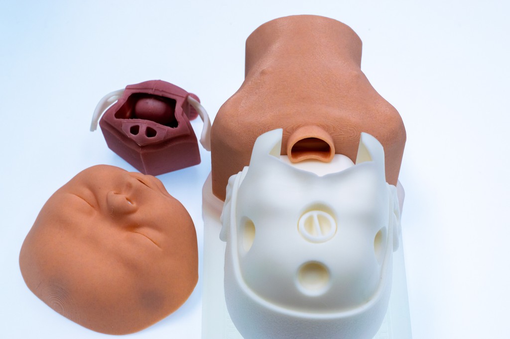 Our models are fully modular - every part can be easily removed and replaced in seconds. We simplified the design to keep things affordable and as easy to repair as possible.

#medicaltraining #healthcaresimulation #medicalskills #intubation #airwaymanagement #anaesthesiology
