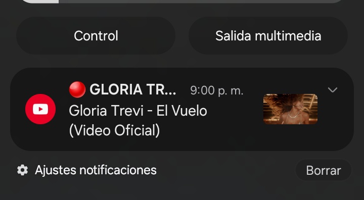 que me suelte el trabajo para ver a mi bebé
EL VUELO X GT