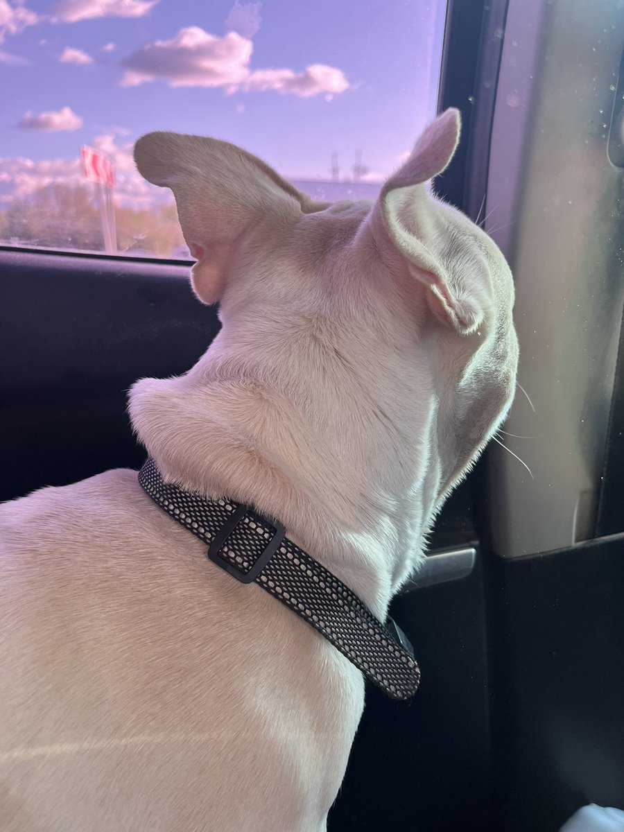 Теперь у меня есть Чарли