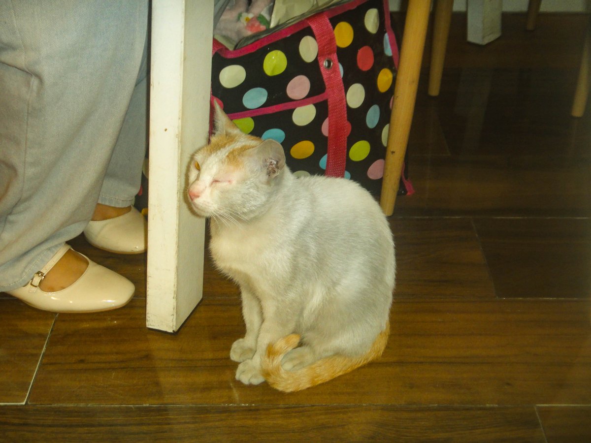 sixylia's tweet image. 