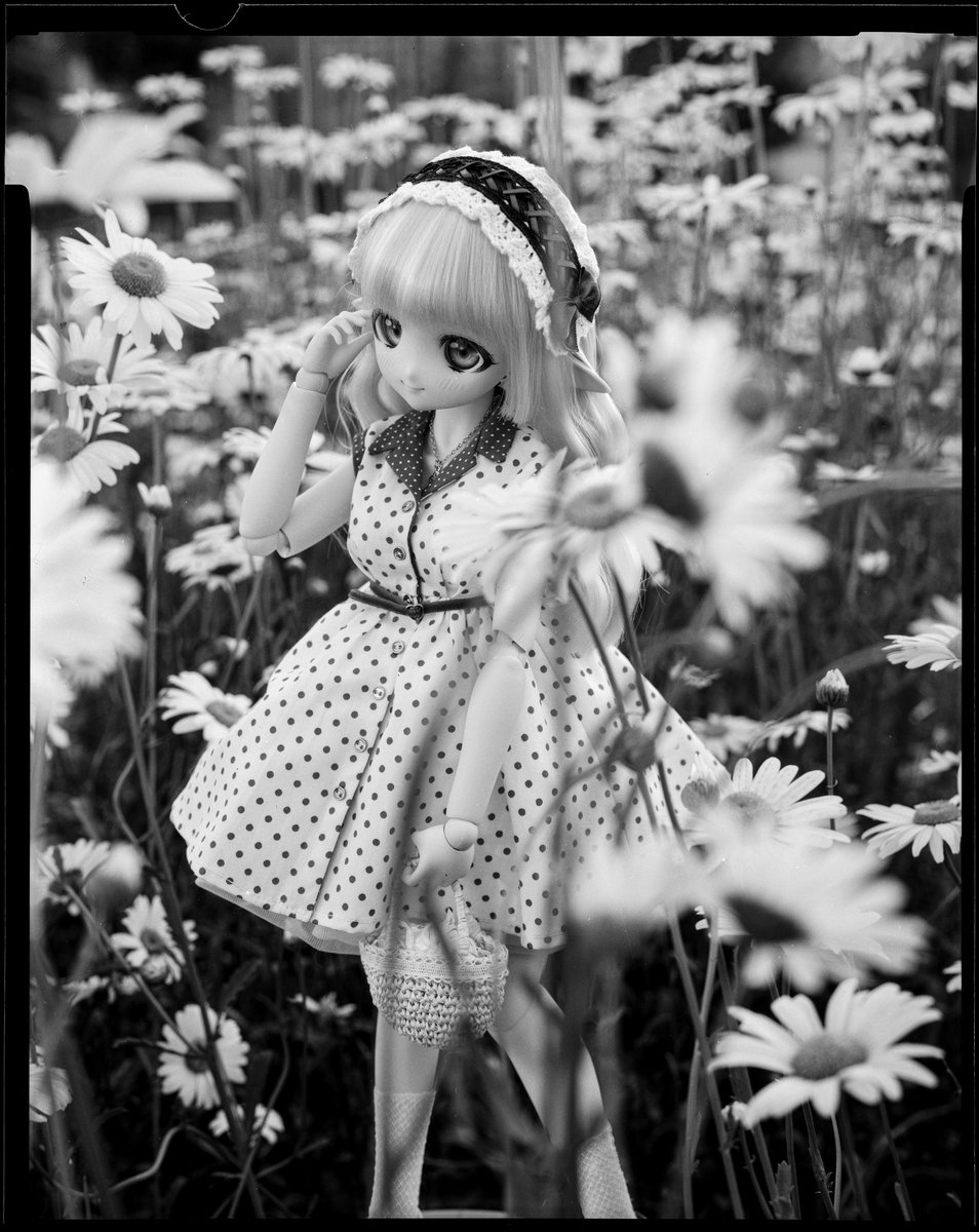moekooli's tweet photo. #MDDはいいぞ 
#うちのこかわいい https://t.co/RFHM3u7qd6