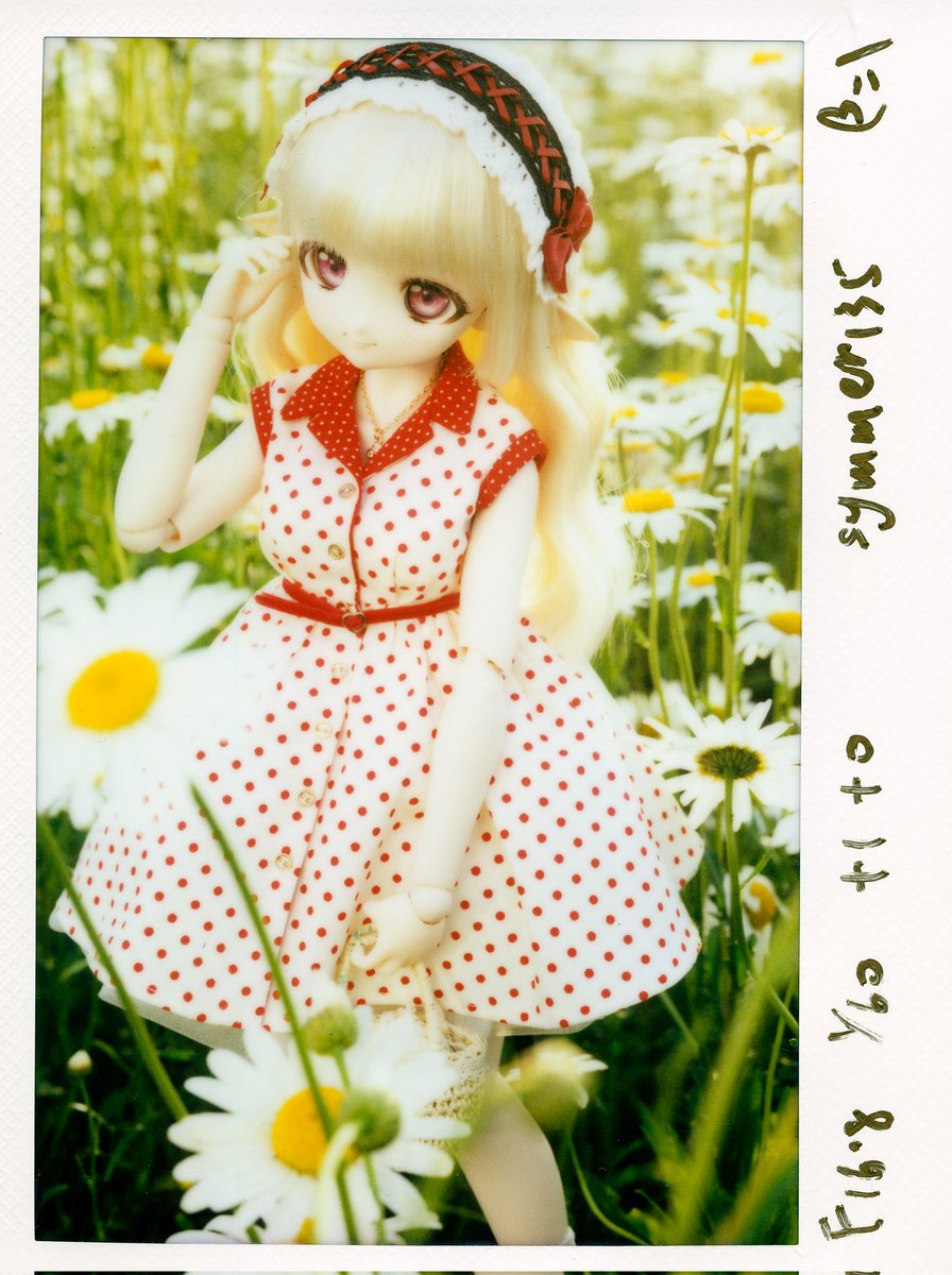 moekooli's tweet photo. #MDDはいいぞ 
#うちのこかわいい https://t.co/RFHM3u7qd6
