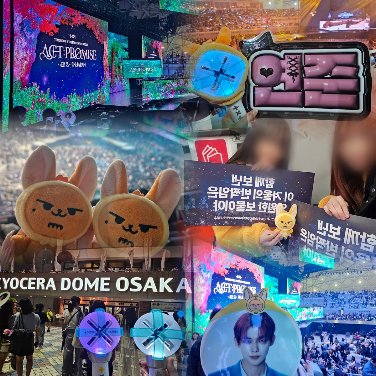 ぱるむ tweet media