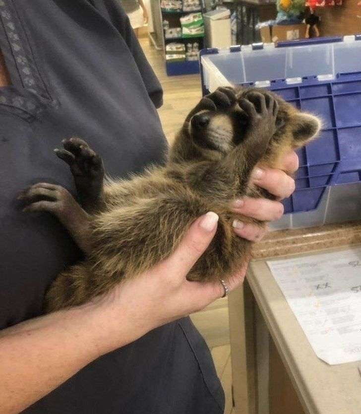 그만둬... 나를 혼자 있도록 내버려둬! 젠장... 홀로 몸이나 웅크리고 고독에 젖어있도록, 그에 취한 만큼 마음껏 고통스럽도록 날 내버려두란 말이야.
이런 상황에서까지 내가 두 손에 착 들어가 품에 쉽게 안기는 너부리라는 사실따위 자각하고 싶지 않다고, 제기랄... 아아아...
