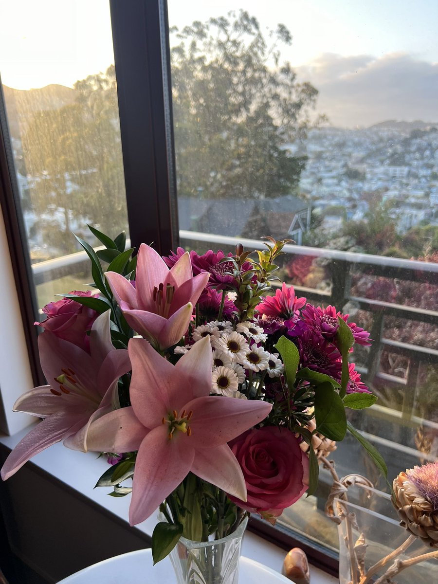 cooked a cozy little dinner for friends from every corner of my life before we all graduate. ft. lots of pasta and lucy the dog as the cutest sous-chef 🐾👩🏻‍🍳💗