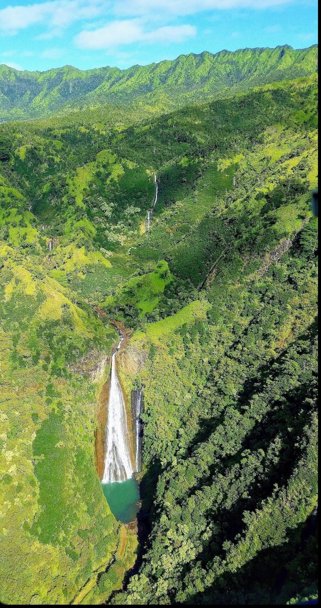 JESUS LOVES KAUA'I tweet media