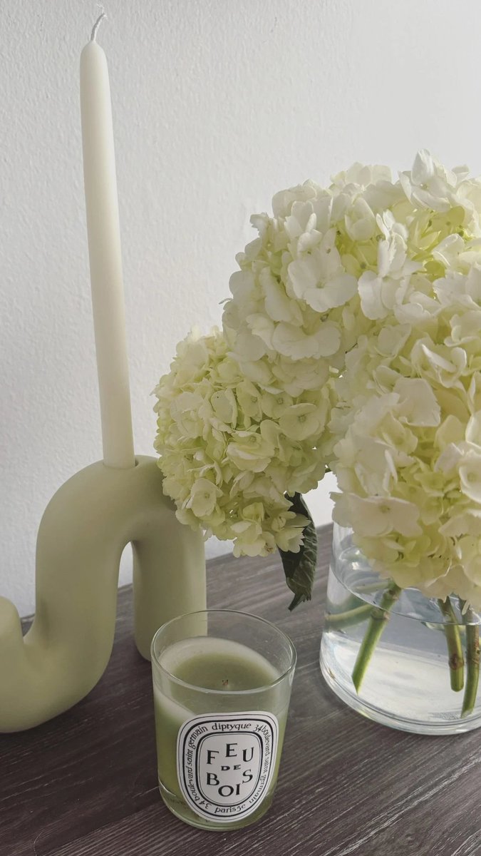 It's hydrangea szn🌸