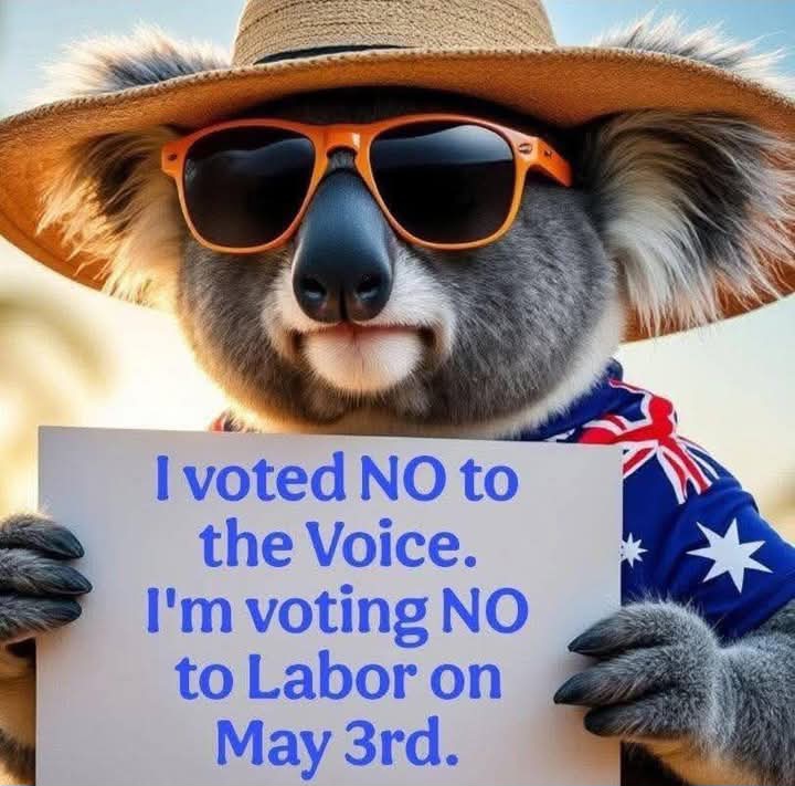 I am sick of Albo dividing this country.