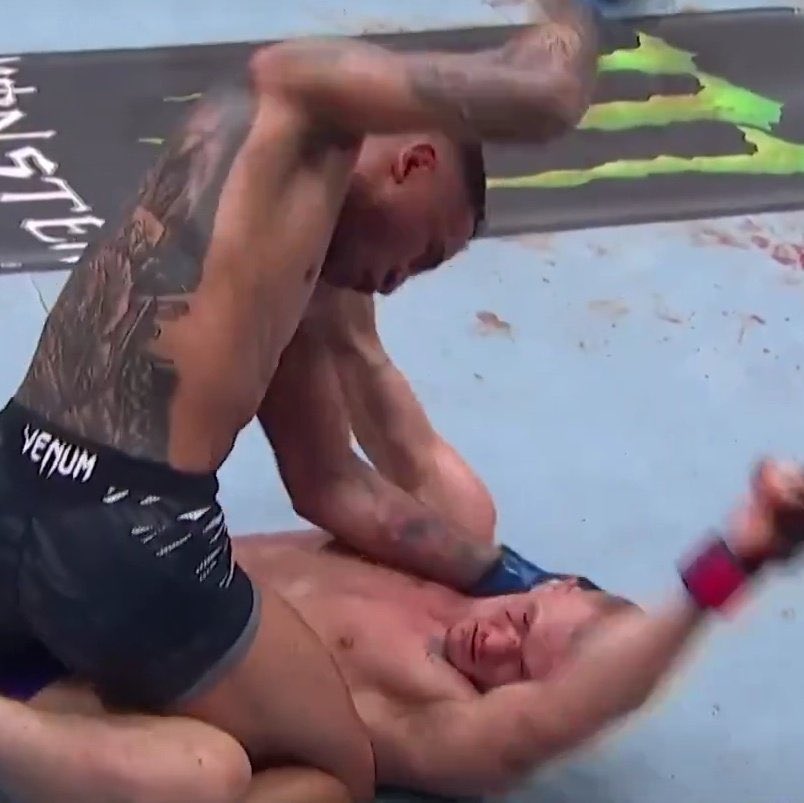 Dovy🔌 tweet media