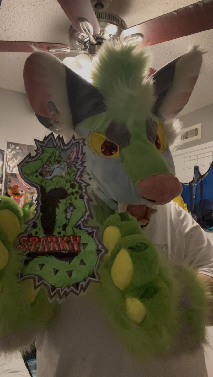 HAPPY #HyenaDay EVERYONE