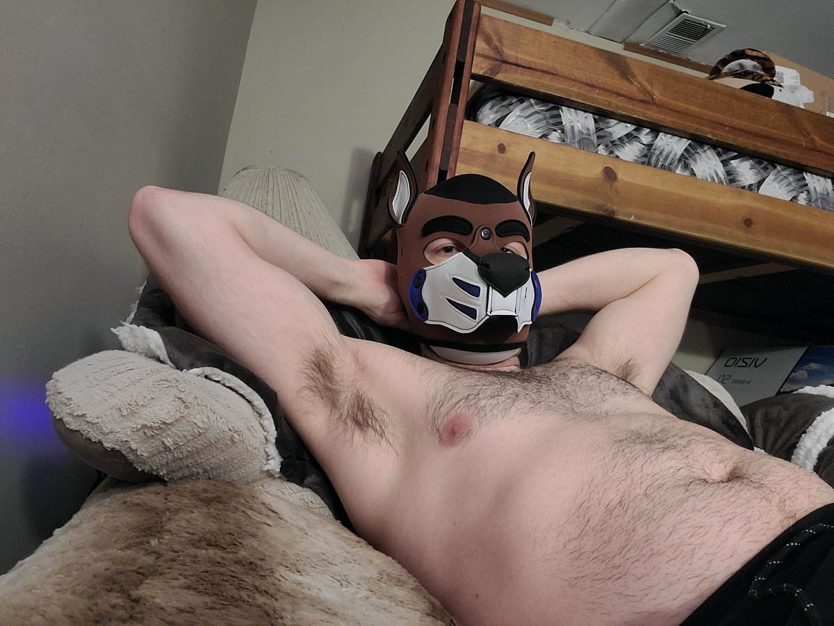 Pup_Novak's tweet photo. New hood, who 'dis? https://t.co/dqnliF4XFo