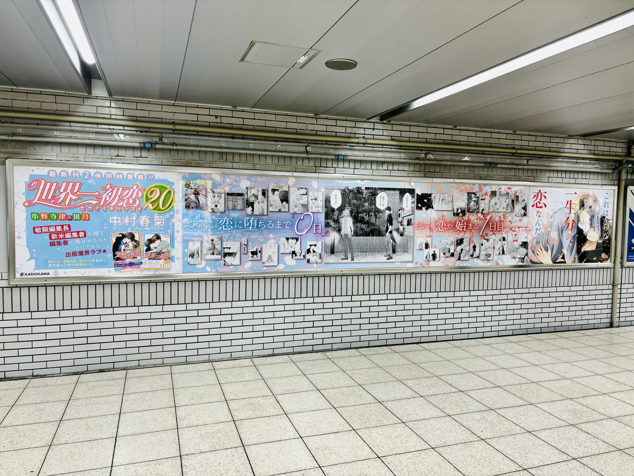 作品別で探す/「せ」タイトル作品/世界一初恋(一覧 商品名