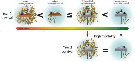 Want to know how seeding devices influence coral survival in combination with sea-weeding on the inshore GBR?

Our paper led by Hillary Smith is out: doi.org/10.1016/j.jenv…