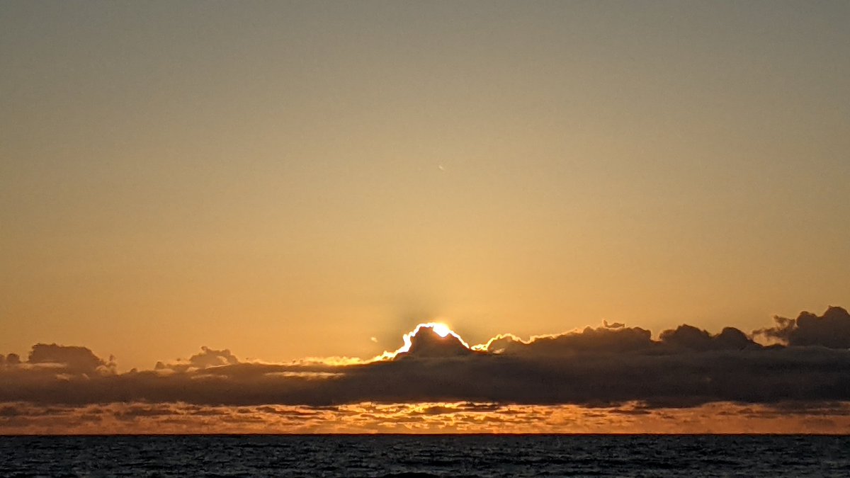 zwtral's tweet image. #goodtiming #sunset #golden #goldenstate #SanDiego