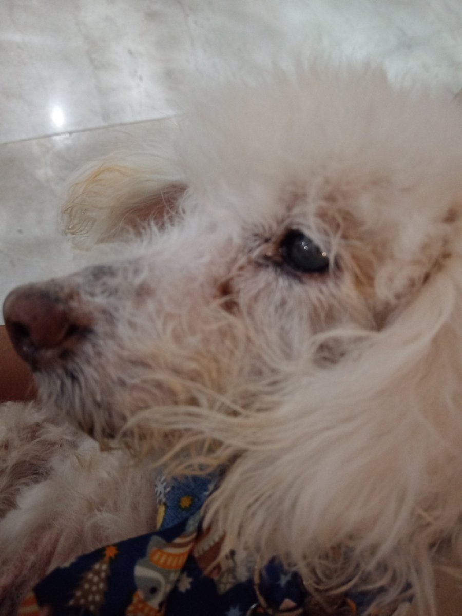 Pacmare_'s tweet image. No sabes cuánto te extraño