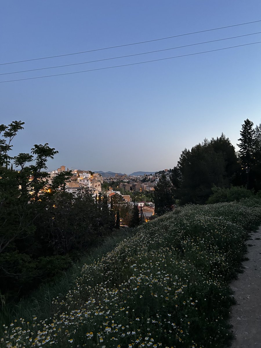 fegarciagarcia's tweet photo. Amanece en Granada. A ver cómo se porta la semana. Que vaya bien🤗 https://t.co/PHLO6aOGwN