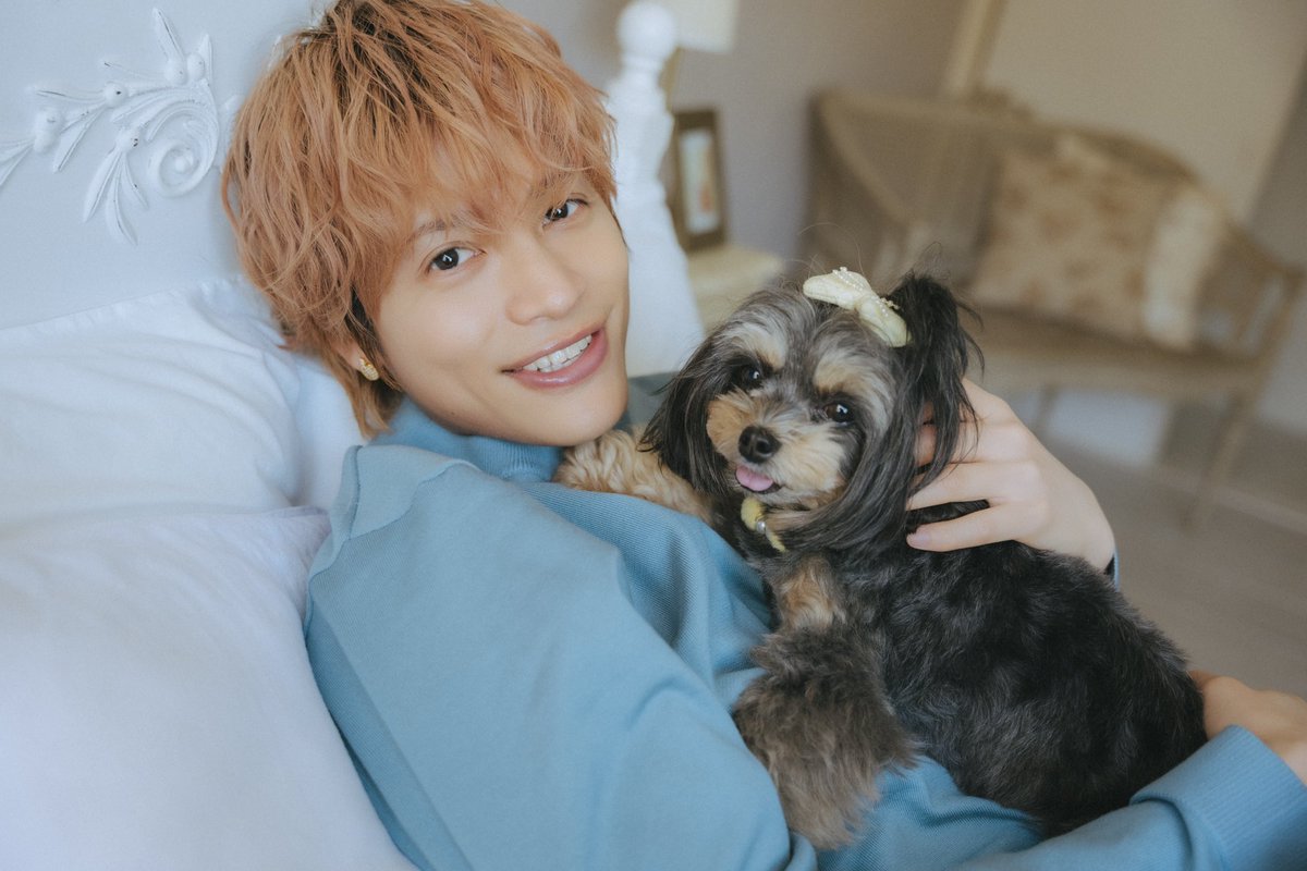 わんこ様 帰るとみんな膝の上の取り合いをしてくれるんです。寝る時もベッドに