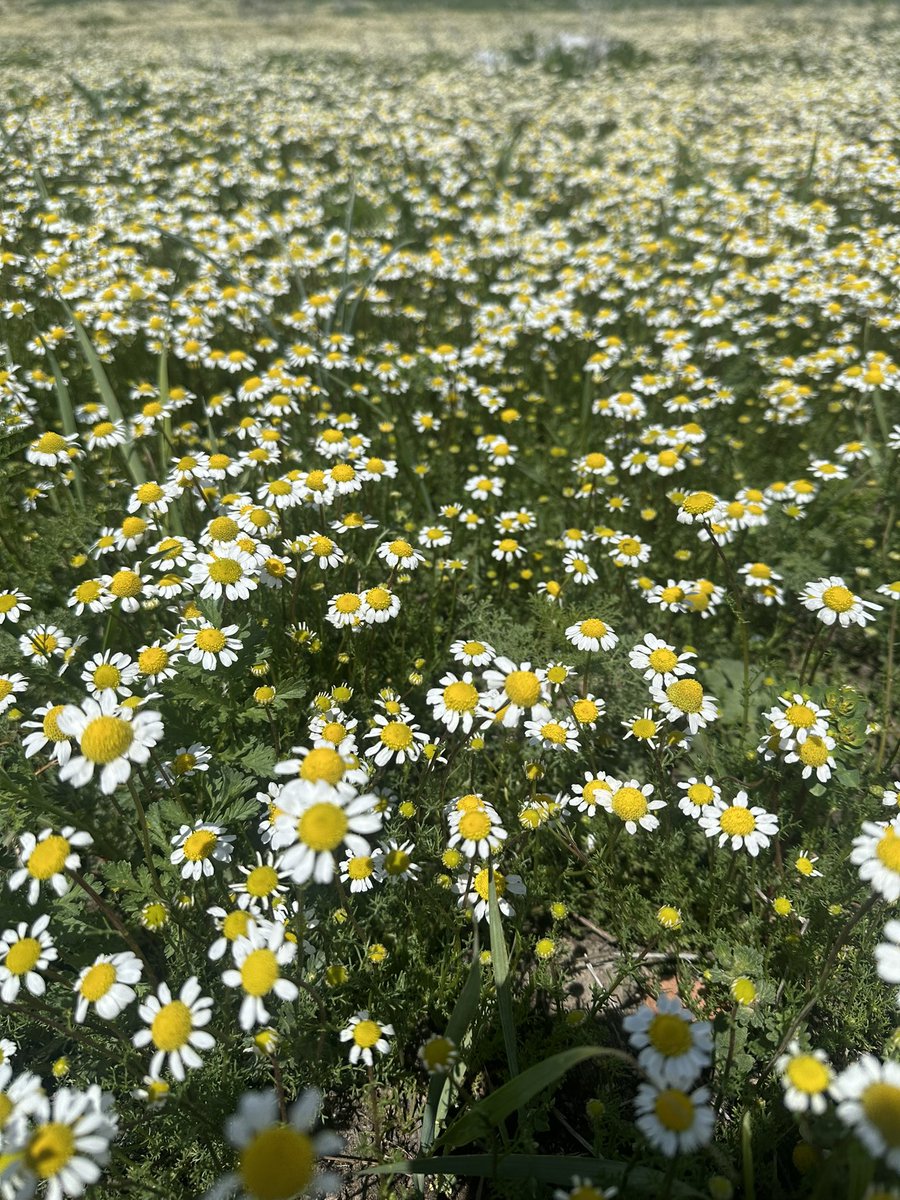 seviyor sevmiyor 💋 #cd #sissy #gay #slut <a href="/gayarabul/">❤️GAY ARA BUL❤️</a> çorum👠🥃💋🍆