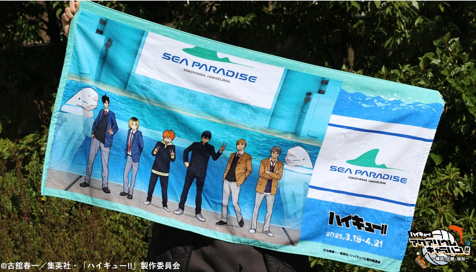 TOHO animation on X: 