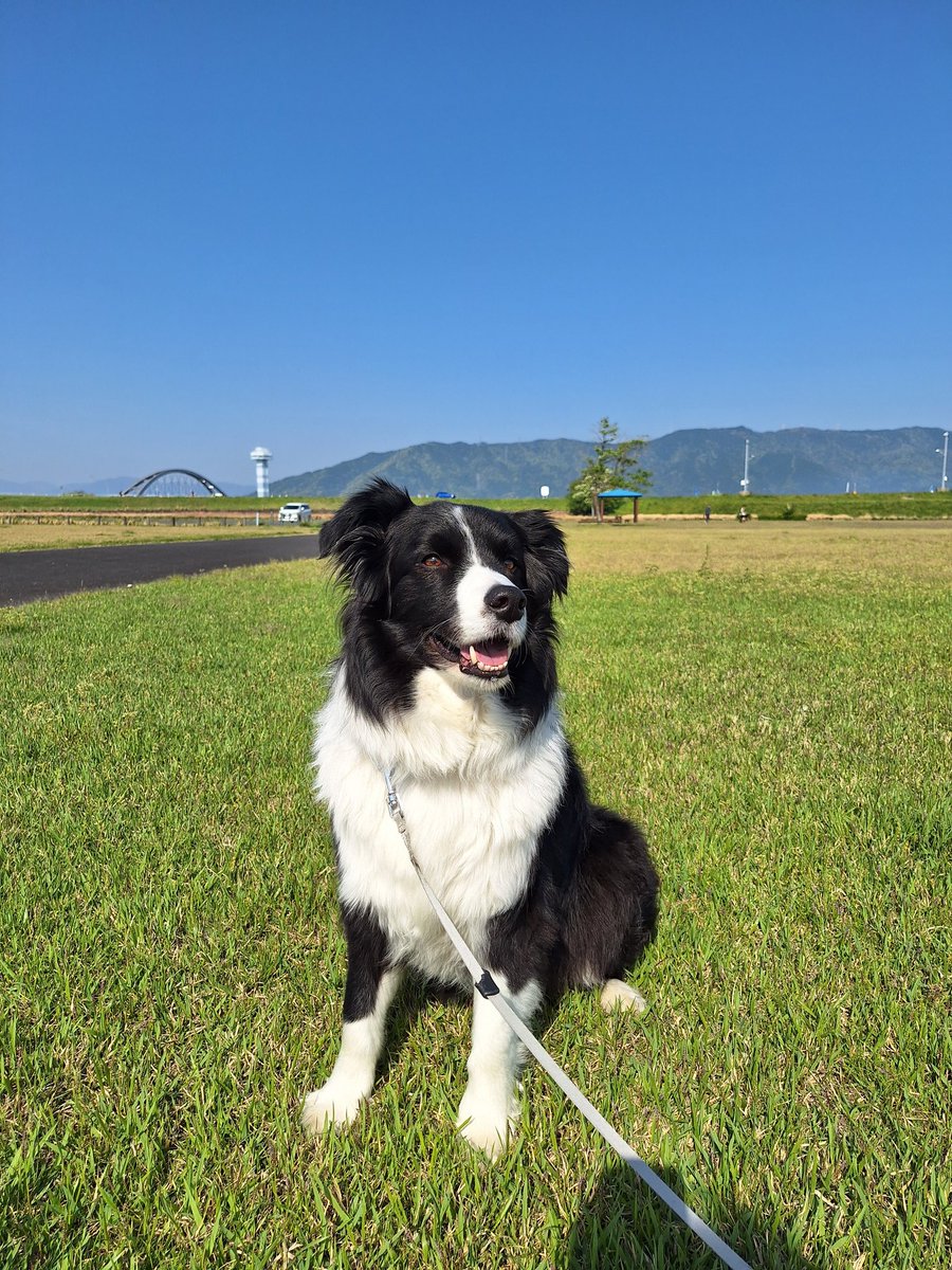 気持ちいい天気☀
