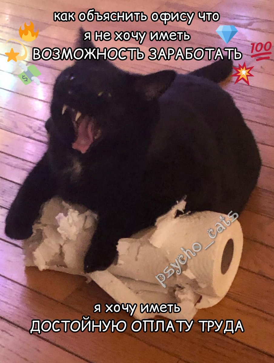 психокоты (@psycho__cats) on Twitter photo 