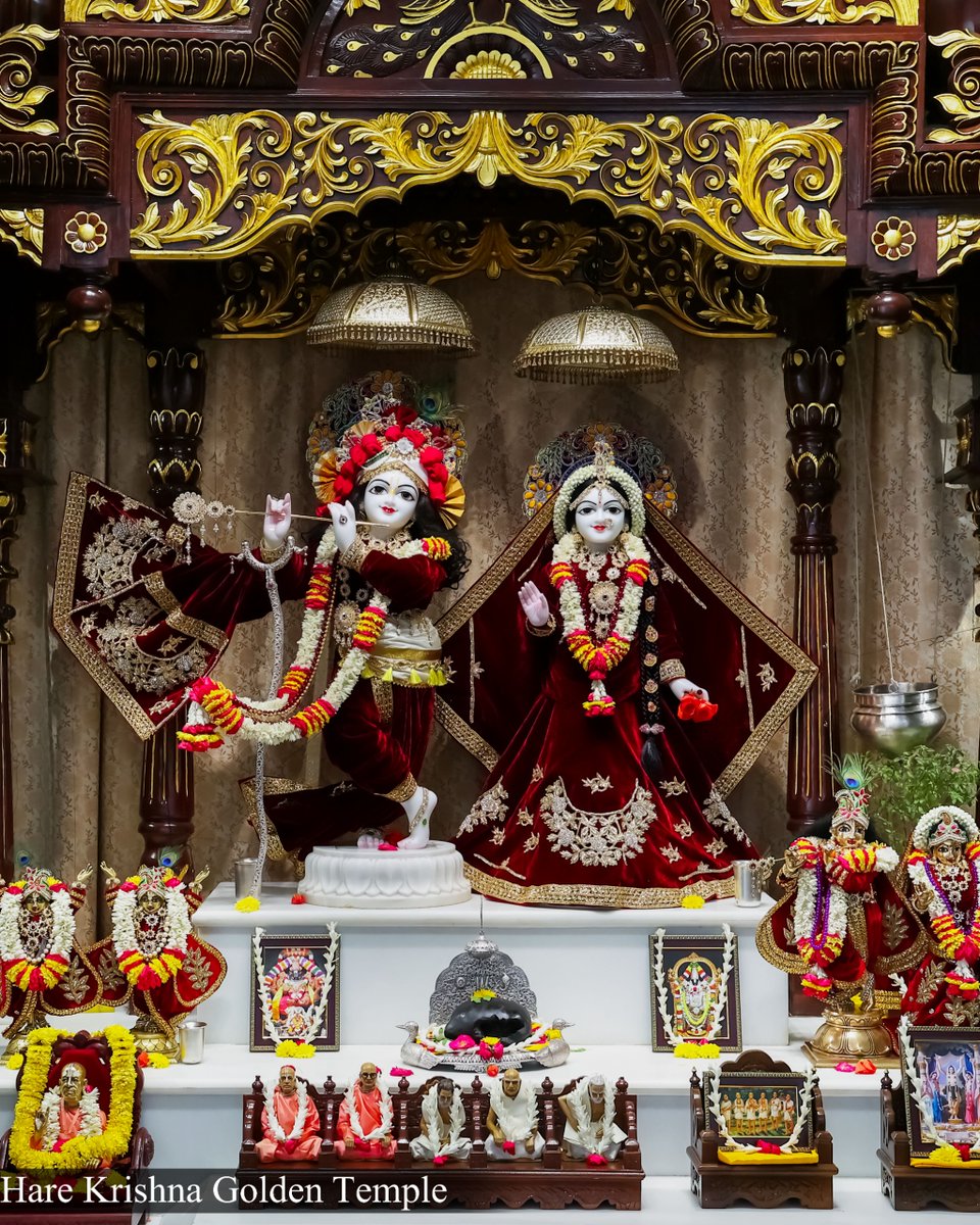 HKGoldenTemple's tweet photo. The so-called spiritual master without sense control is certainly the cheater, and the disciple of such a so-called spiritual master is the cheated. SB 2.9.43

#harekrishna
#harekrishnagoldentemple
#SriLakshmiNarasimha https://t.co/UXdhrfDUWj