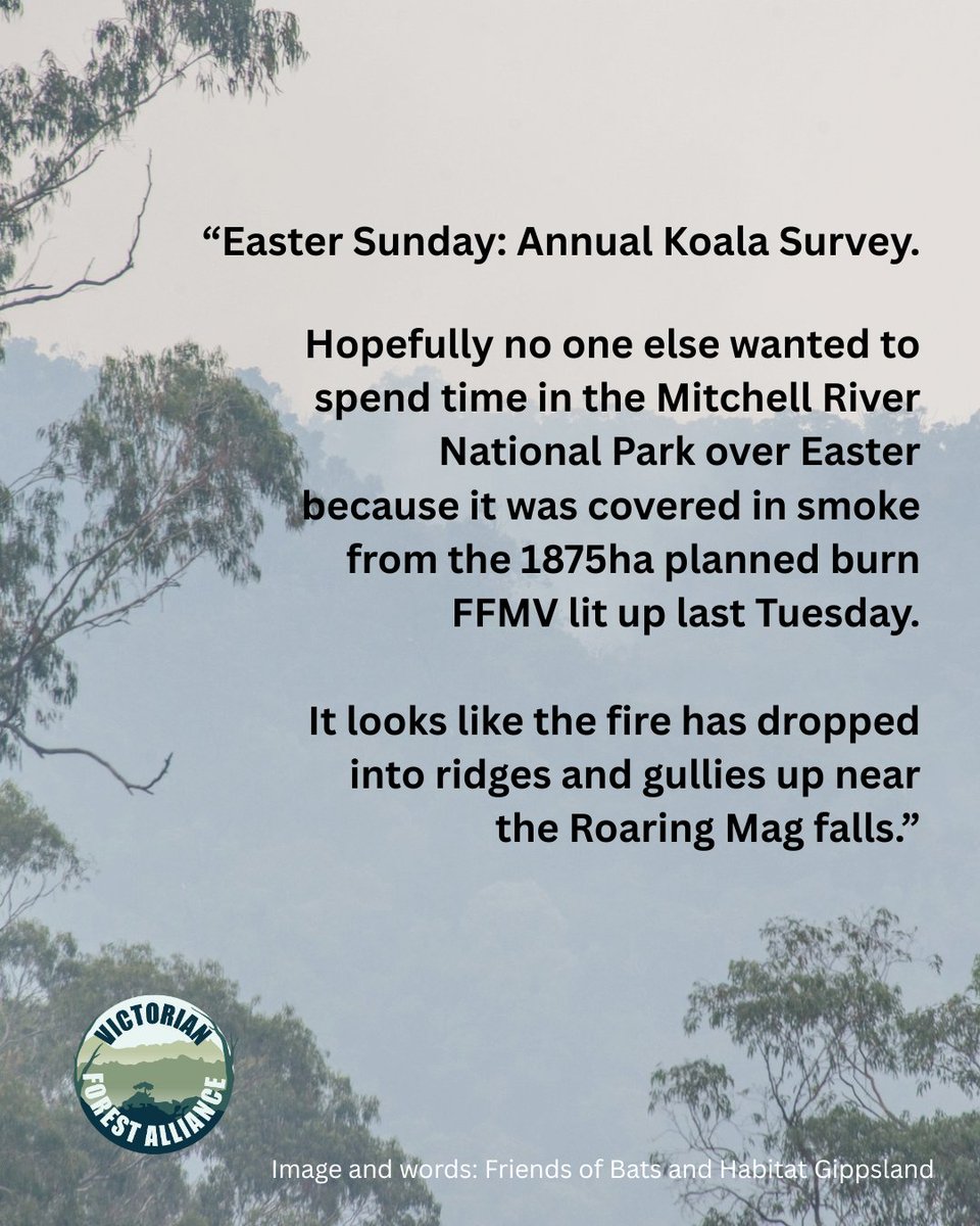 alliance_forest's tweet photo. Words from VFA member @FriendsBats:  Gunnai Kurnai Country ablaze with planned burns across the Easter long weekend, with towns and forests alike covered in smoke.

#PlannedBurns https://t.co/MpNq4yAA1p