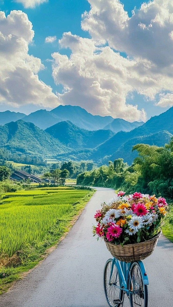 Good morning 🌄 beautiful friends 🌺🌷🌹🌸🥀🌼🌻🪻🍁🍂🍄🌲🌳🌿🌱🍀☘️🌹💐 happy new week 🥰😍☕🌄